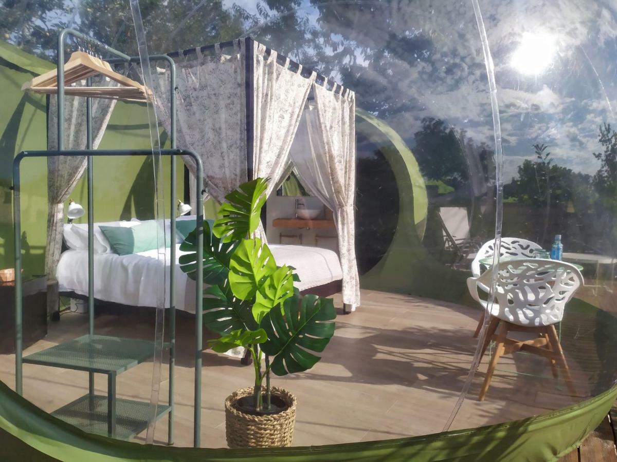 Remanso De Trasfontao Casa Das Arbores & Bubble Silleda Dış mekan fotoğraf