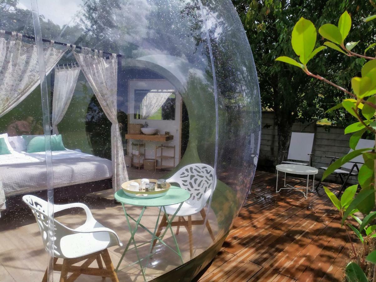 Remanso De Trasfontao Casa Das Arbores & Bubble Silleda Dış mekan fotoğraf